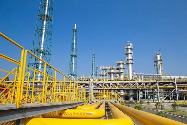 港澳宝典免费资料